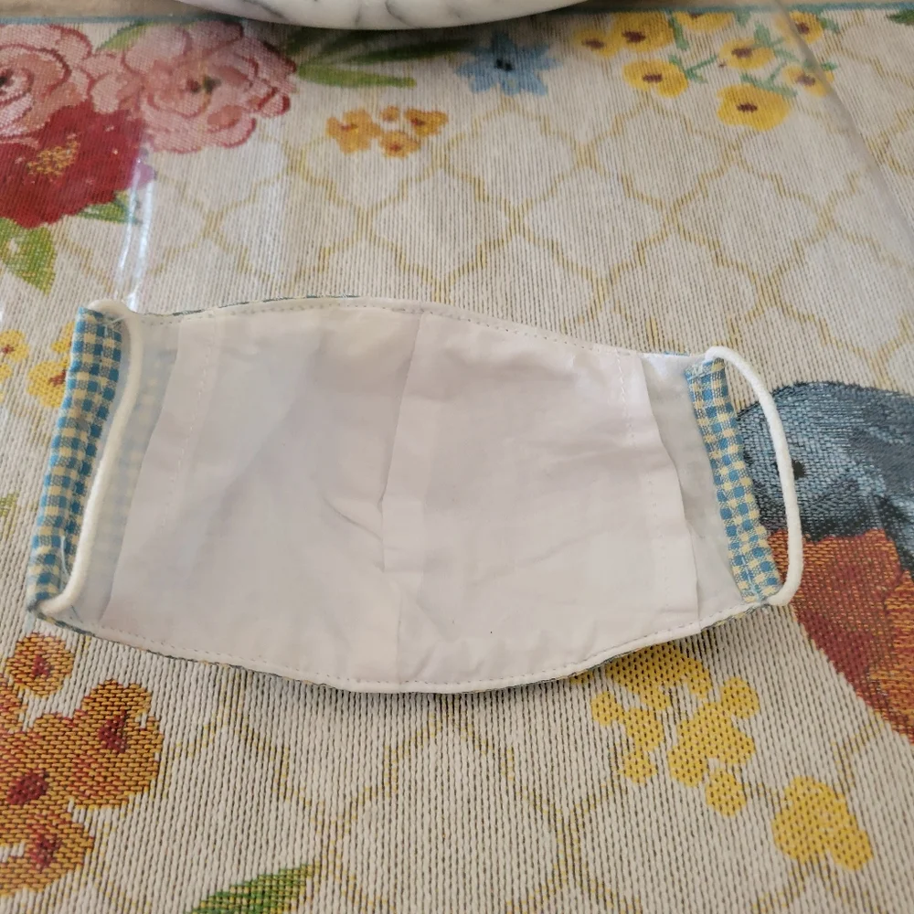 Blue Gingham Kids Face Mask